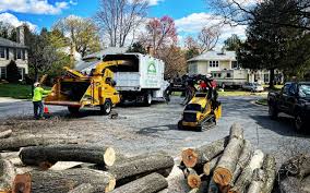 Best Lawn Dethatching  in Geneva, NY