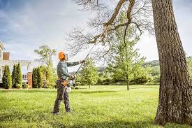 Best Tree Risk Assessment  in Geneva, NY