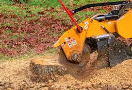 Best Lot and Land Clearing  in Geneva, NY