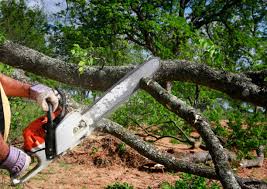 Best Soil Testing and Treatment  in Geneva, NY