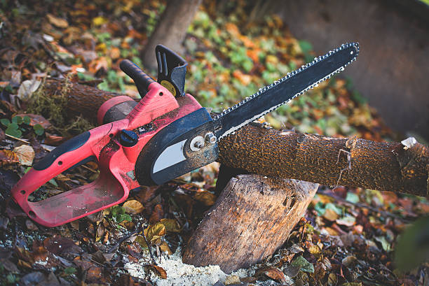 Best Tree and Shrub Care  in Geneva, NY